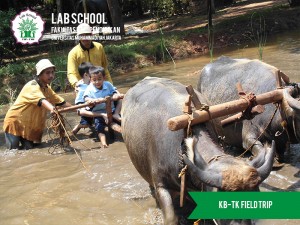 KB-TK-LABSCHOOL-FIPUMJ-FIELD-TRIP-NAIK-KERBAU-MEMBAJAK-SAWAH